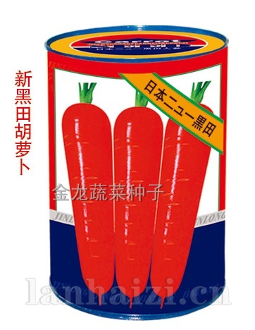 新黑田胡萝卜