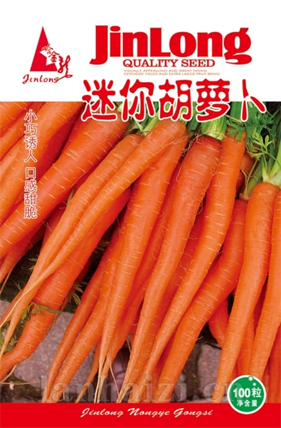迷你胡萝卜