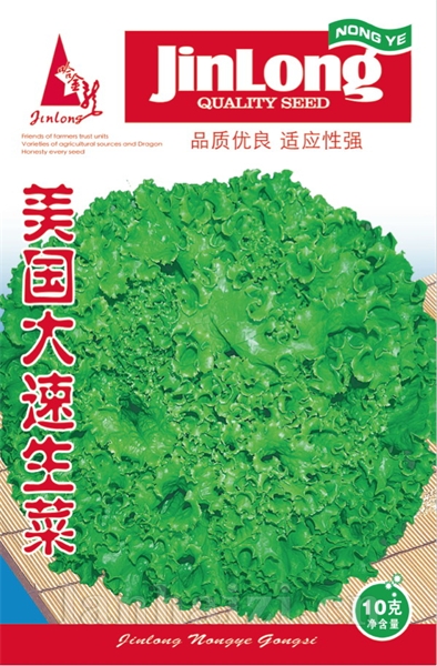 美国大速生菜