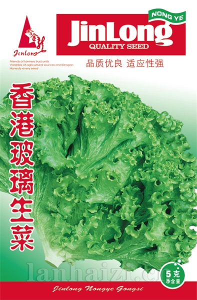 香港玻璃生菜
