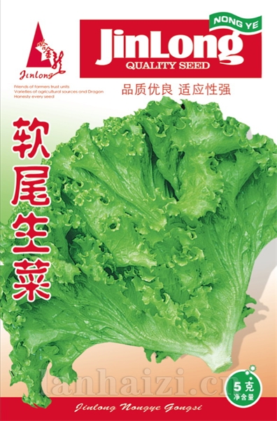 软尾生菜