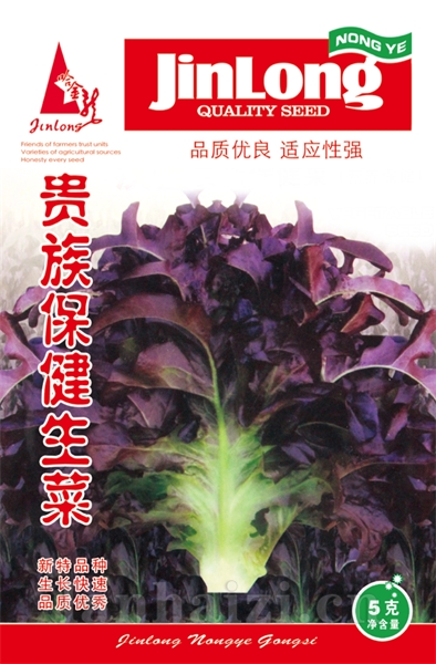 贵族保健生菜