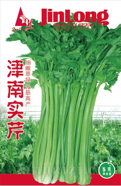 津南实芹