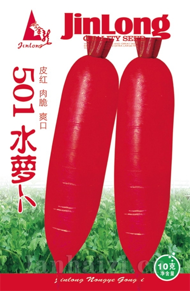 501水萝卜