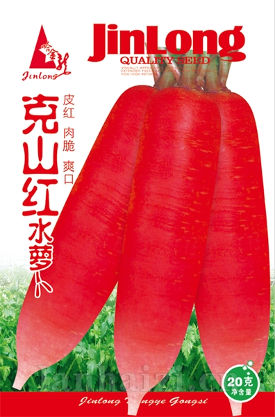 克山红水萝卜
