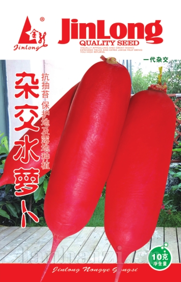 杂交水萝卜