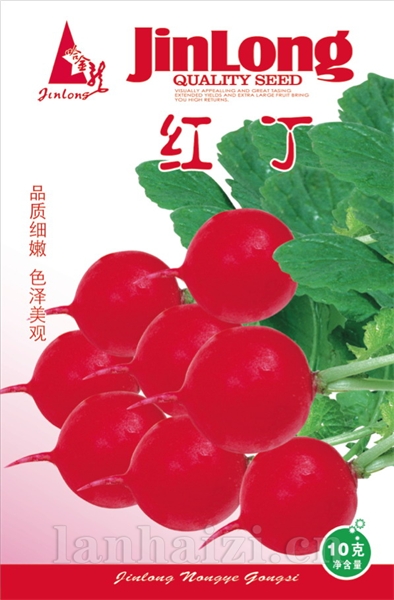红丁