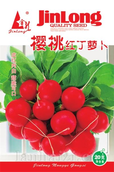樱桃红丁萝卜