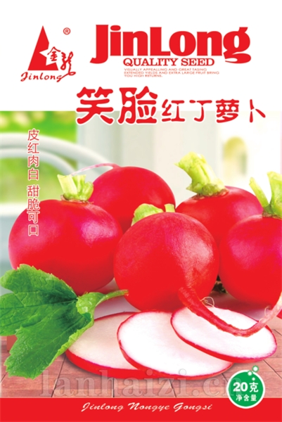 笑脸红丁萝卜