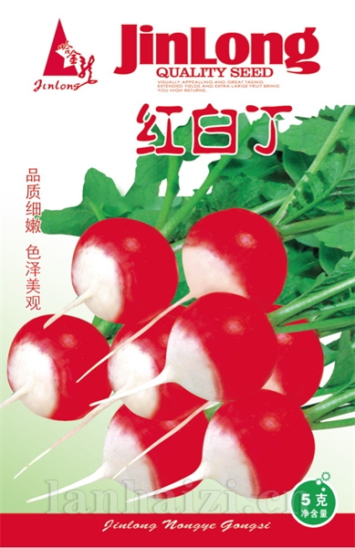 红白丁
