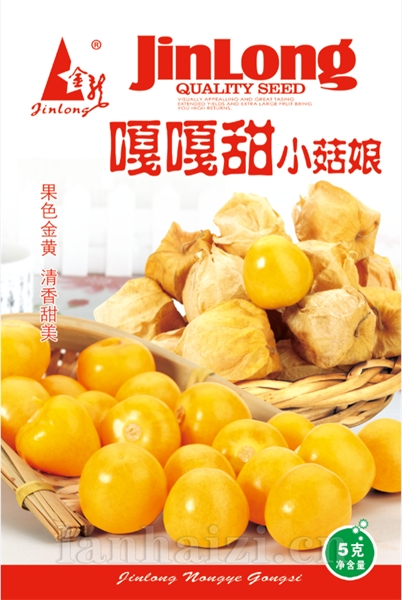 嘎嘎甜小菇娘
