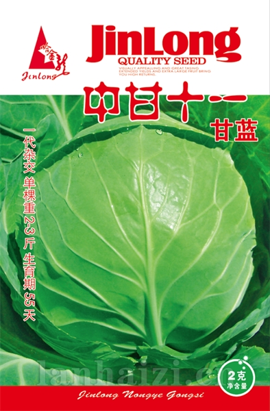 中甘十一