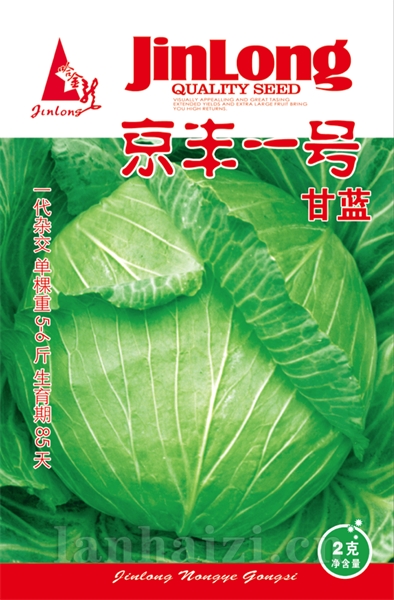 京丰一号