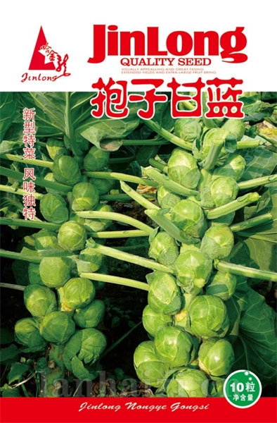 孢子甘蓝