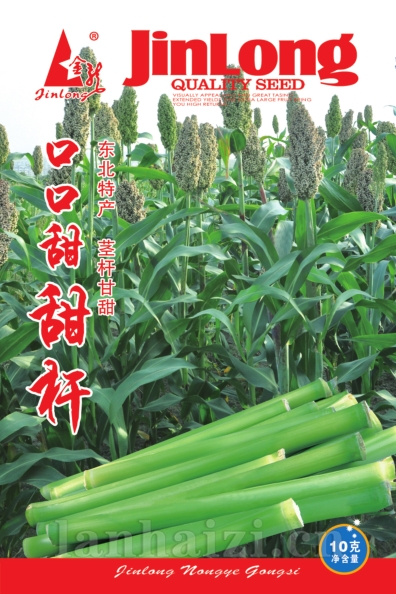  口口甜甜杆