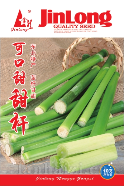 可口甜甜杆