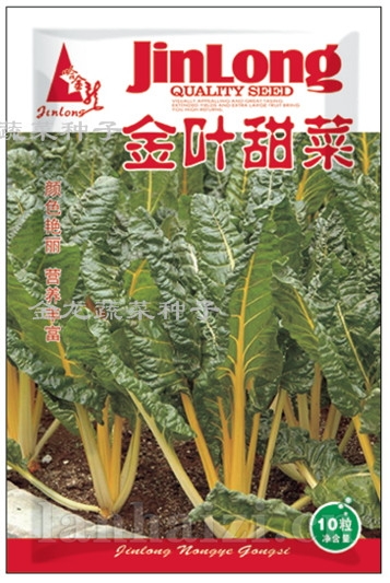 金叶甜菜