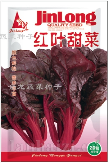 红叶甜菜254
