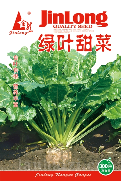 绿叶甜菜