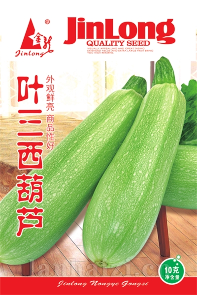 叶三西葫芦