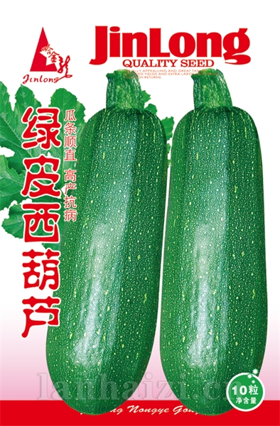 绿皮西葫芦