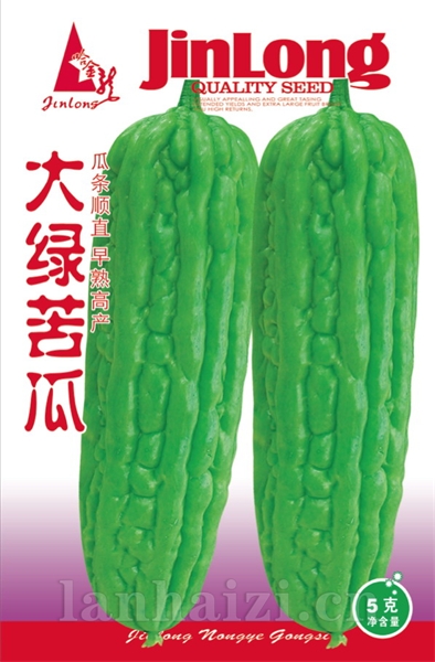 大绿苦瓜