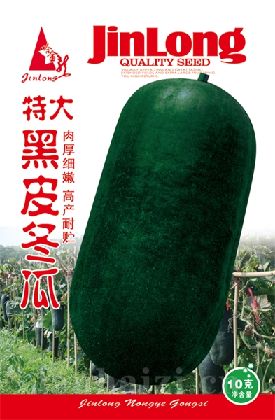 黑皮冬瓜