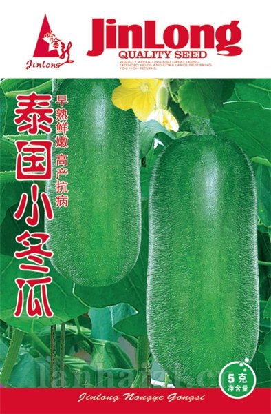 泰国小冬瓜