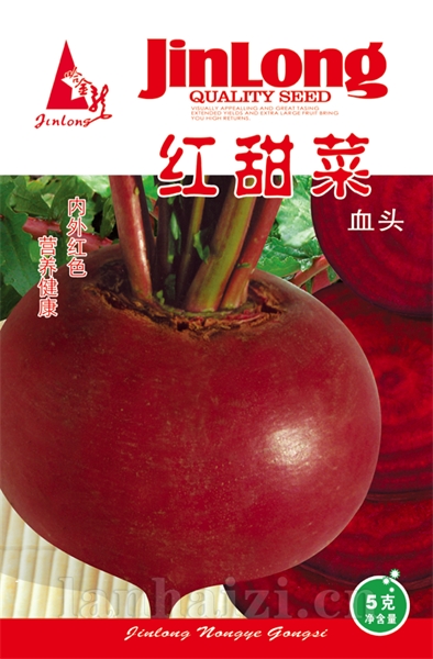 红甜菜
