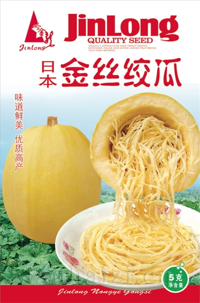 金丝绞瓜
