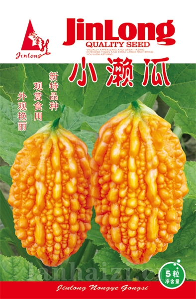 小濑瓜