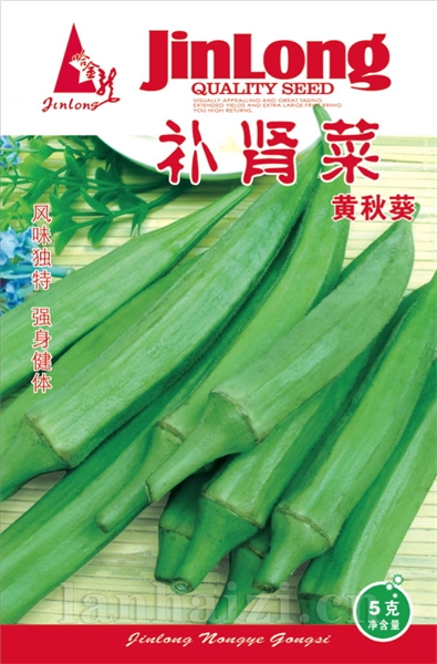补肾菜
