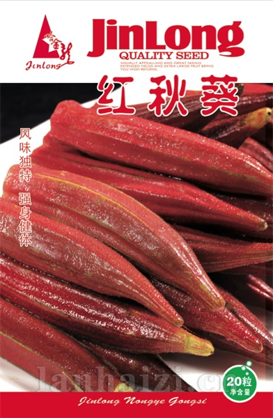 红秋葵