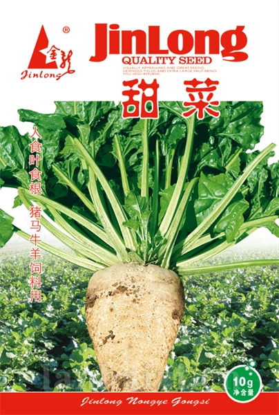 甜菜