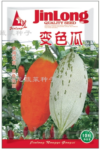 变色瓜