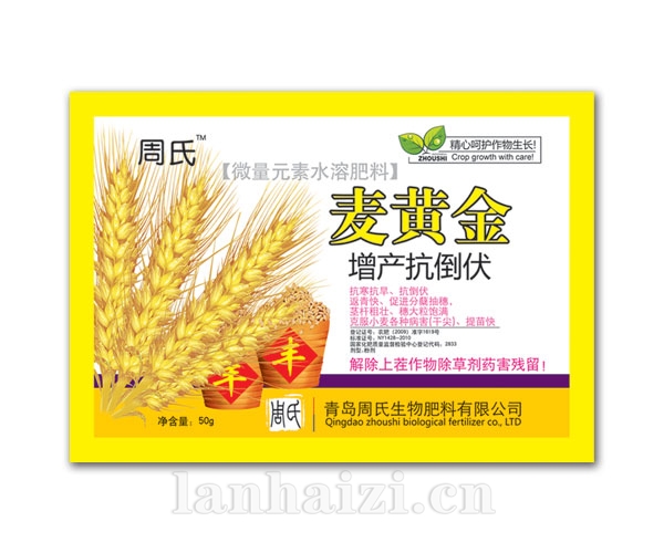麦黄金