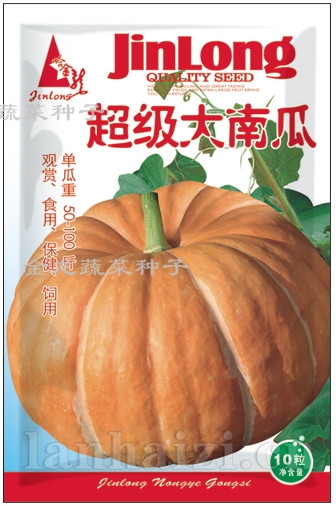 超级大南瓜