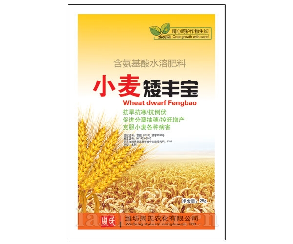 小麦矮丰宝