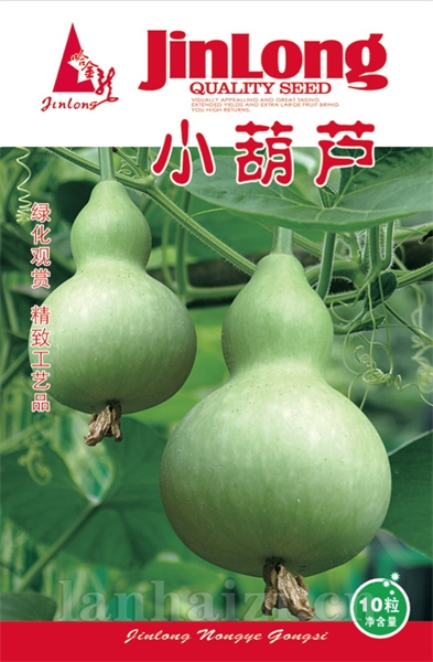 小葫芦