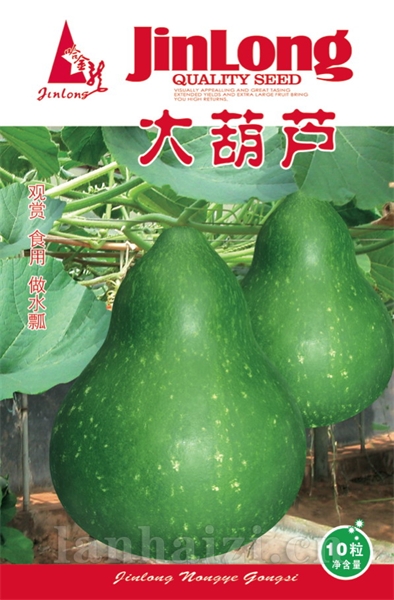 大葫芦
