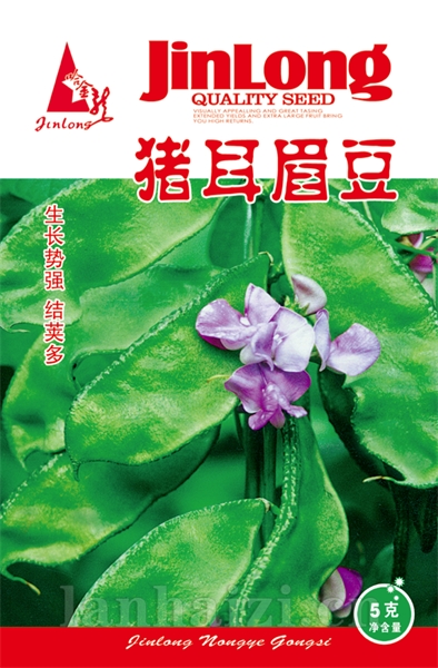 猪耳眉豆