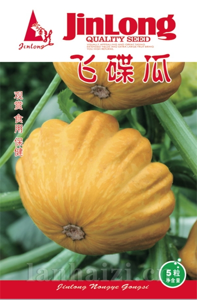 飞碟瓜（黄）