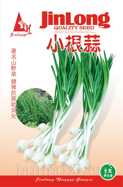 小根蒜