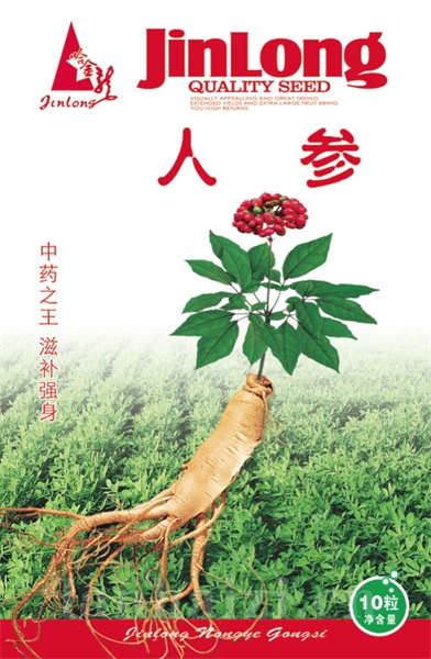 人参
