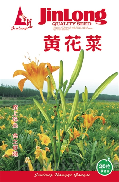 黄花菜
