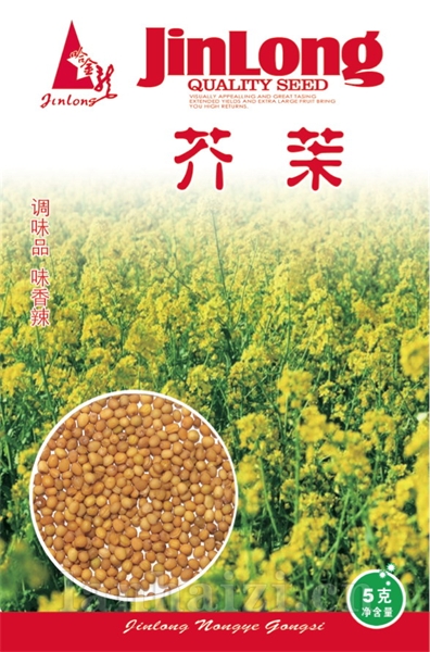 芥末