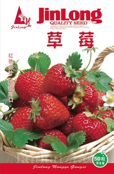 草莓