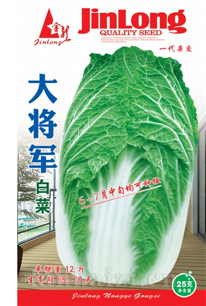 大将军
