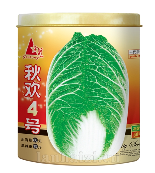  秋欢4号