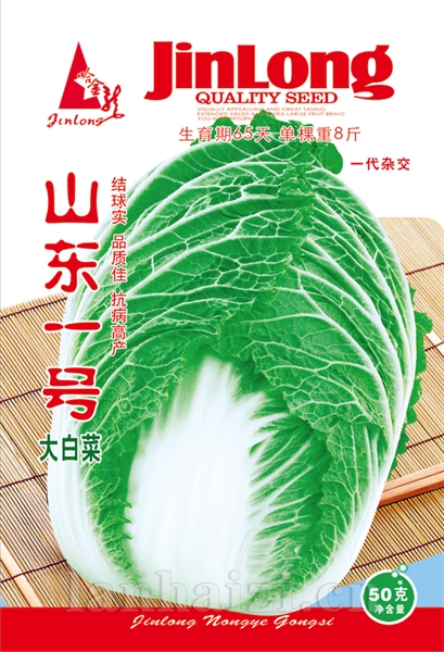 山东1号